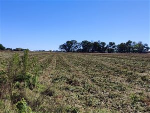 114 ha Farm in Bloemfontein