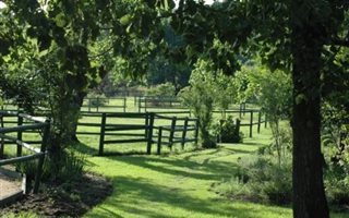 18 ha Farm in Bridle Park AH