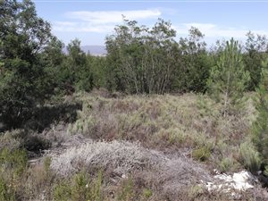 766 m² Land available in Caledon