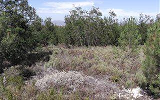 766 m² Land available in Caledon
