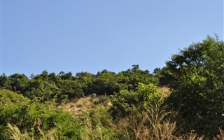 1600 m² Land available in Rose Park