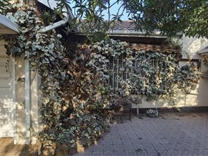 3 Bed House in Dalpark Proper