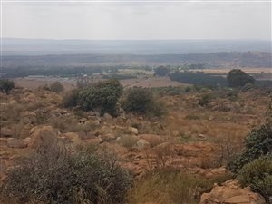 9 ha Land available in Tierpoort