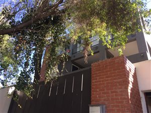 6 Bed House in Richmond