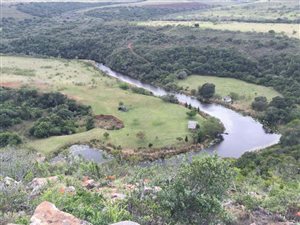 172 ha Farm in Grahamstown