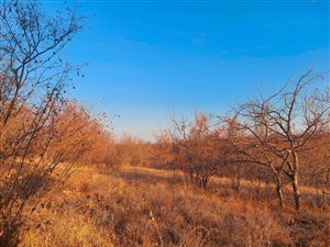 2400 m² Land available in Hoedspruit