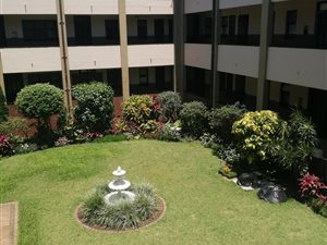 1 Bed Apartment in Musgrave