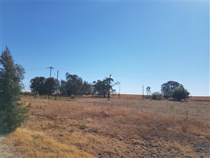52 ha Farm in Kaalplaats