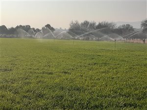 28 ha Farm in Kameeldrift West