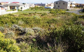 621 m² Land available in Perlemoenbaai