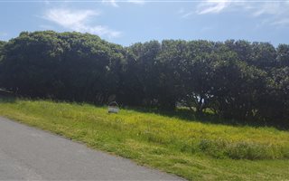 641 m² Land available in Van Dyks Bay