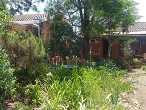 3 Bed House in Ladysmith Central