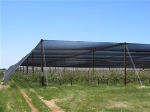 44 ha Farm in Groblersdal