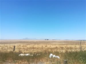 1 Bed House in Klipheuwel