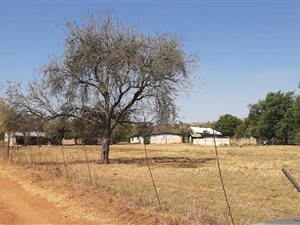 2.2 ha Farm in Mooinooi