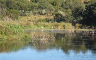 4.3 ha Land available in Kleinfontein