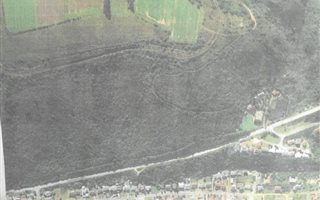 25008 ha Farm in Glentana