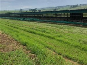 10 ha Land available in Cato Ridge
