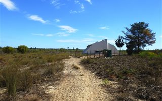 9 ha Farm in Cape Farms