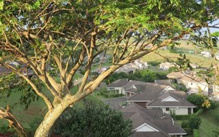 1605 m² Land available in Mtunzini