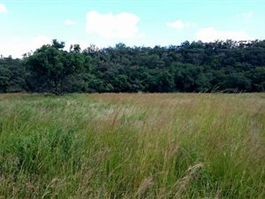 1.2 ha Land available in Modimole (Nylstroom)