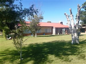 4.2 ha Land available in Bloemspruit