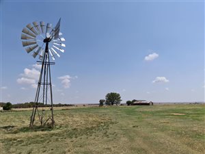 420 ha Farm in Brandfort