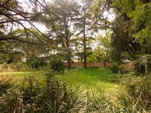 1200 m² Land available in Melrose Estate