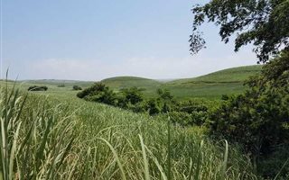 178 ha Farm in Shakas Rock