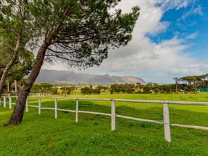 9 ha Farm in Sir Lowrys Pass