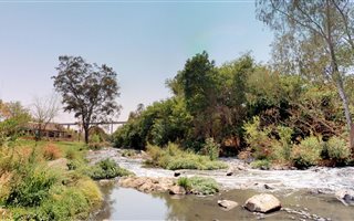 5.4 ha Farm in Leeuwfontein