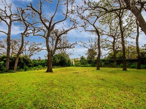 1019 m² Land available in Morningside
