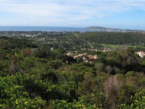 1500 m² Land available in Schoongezicht