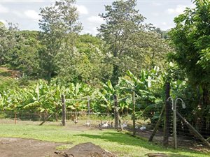 2.2 ha Farm in Marina Beach