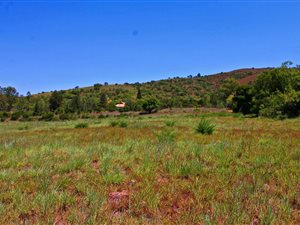 28.1 ha Smallholding in Lydenburg