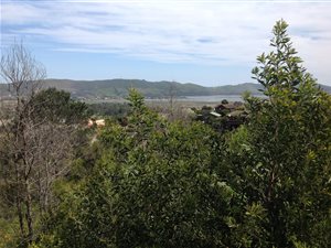 1722 m² Land available in Fishers Haven