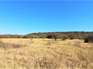 57 ha Farm in Modimole (Nylstroom)