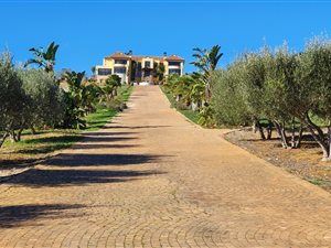 4 ha Farm in Stellenbosch Agricultural