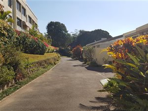 1 Bed Apartment in Sarnia