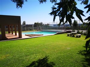 1 Bed Apartment in Newmarket Park