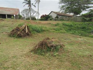 905 m² Land available in Winklespruit