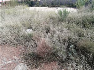 180 m² Land available in Soshanguve