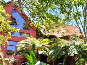 3 Bed House in Winterskloof