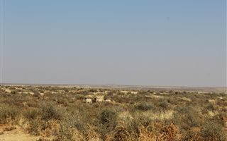 2869 ha Farm in Britstown