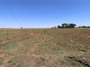 1 ha Land available in Martindale