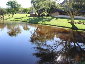 3 ha Farm in Vaalwater
