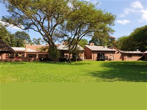 1 ha Farm in White River AH