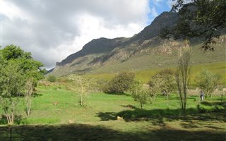 4200 m² Land available in Riebeek West