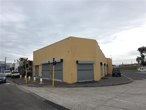 313 m² Commercial space in Elsies River
