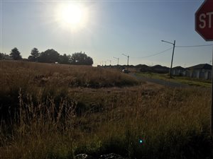 Farm in Modderbee